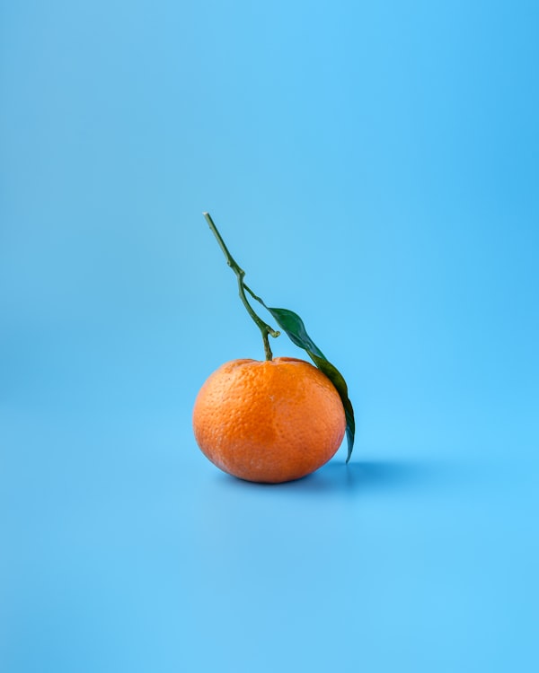 狮子座象征图