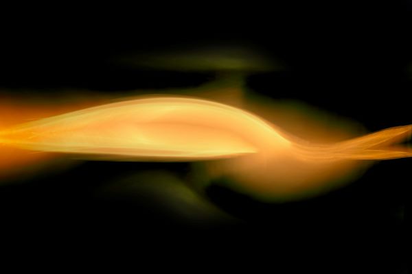 Gold Bar